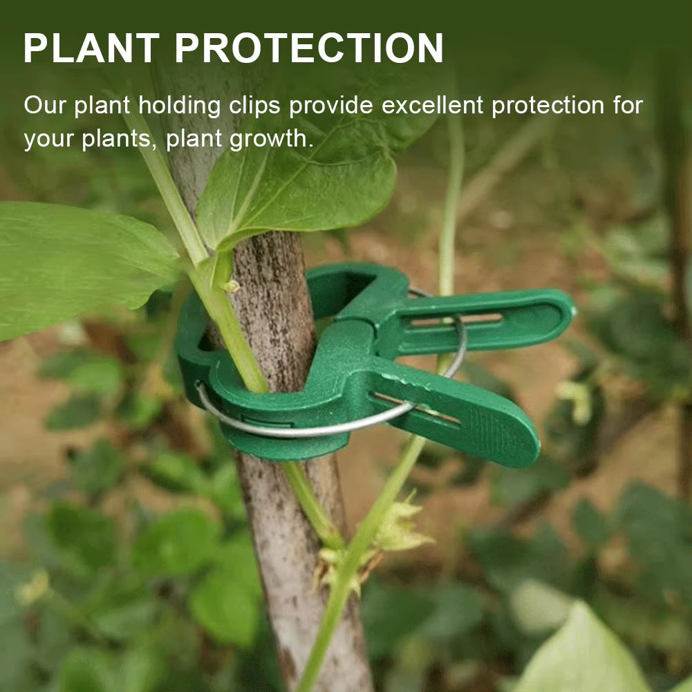 20/50Pcs Tomatoes Fastener Reusable Seedling Stem Support Vines Grow Upright Climbing Tool for Straightening Tomato Cage Trellis